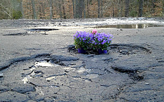 Kwiaty w… dziurach na drodze. Słuchacze PRO wybrali najgorszą drogę